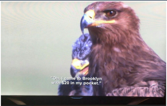 Netflix Accidentally Put Aziz Ansari Subtitles on a Nature Doc and the Results Are Amazing