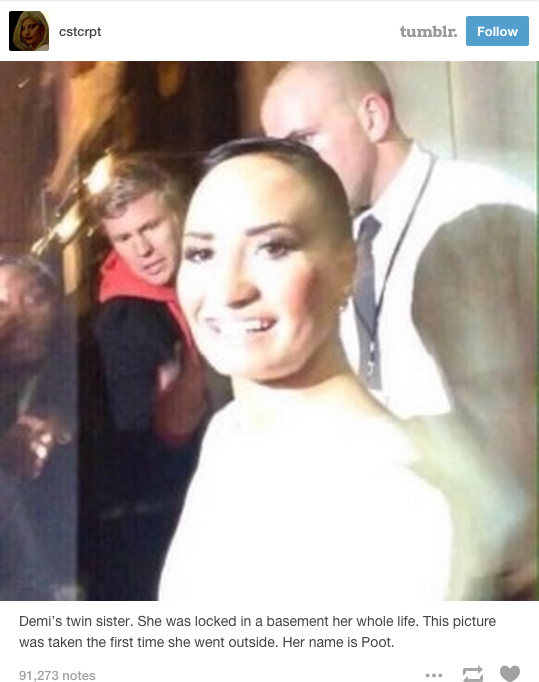 Demi Lovato Not a Fan of Poot Lovato Meme