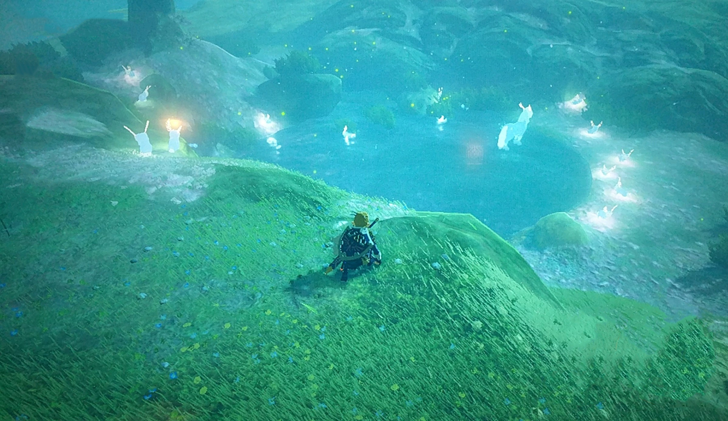 [BOTW] One of my favorite locations in the game. Beautiful and soothing